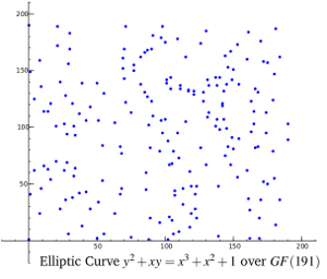 Elliptic Curve Affine